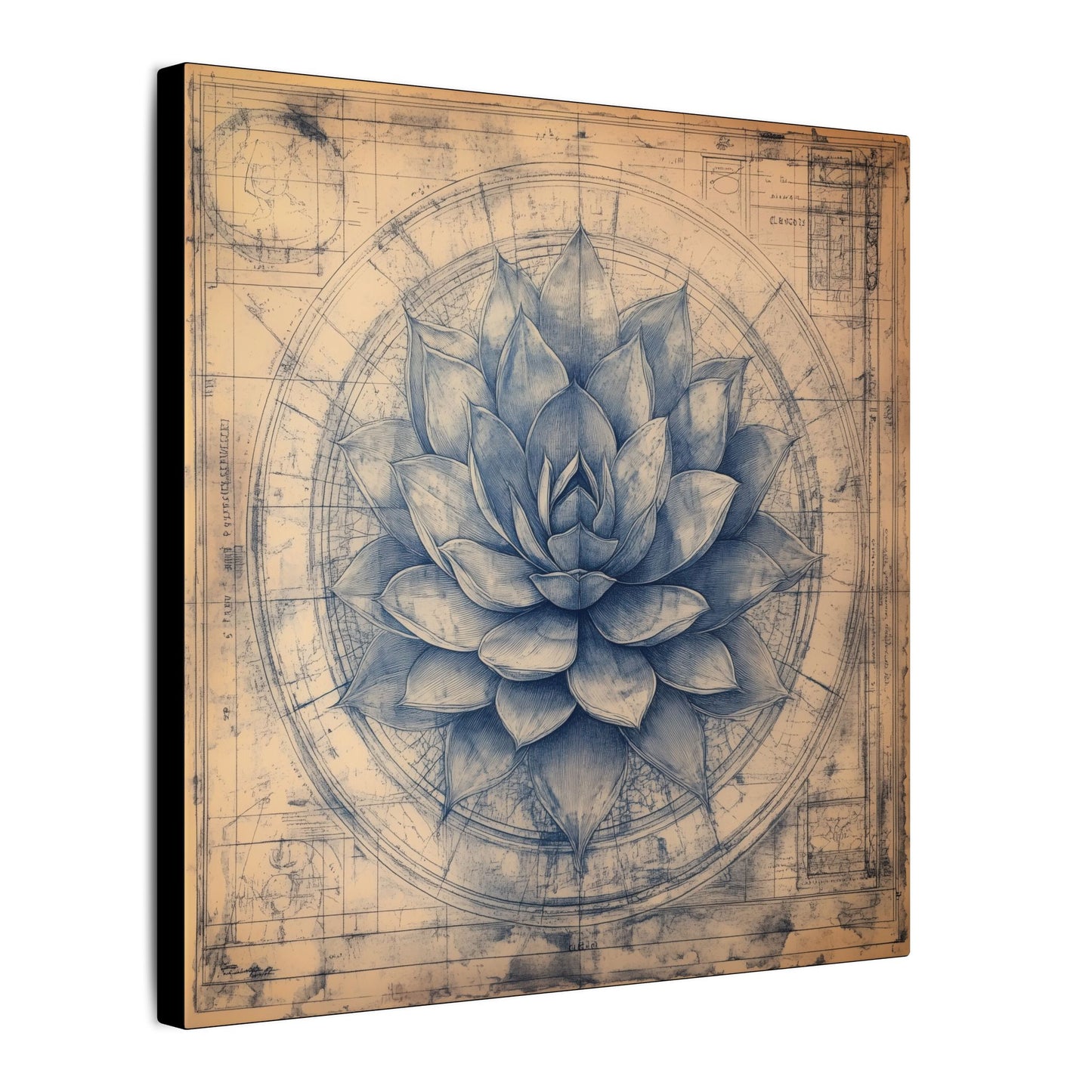 Side view. Vintage-style botanical blueprint of a blue agave cactus in indigo ink, centered in circular technical drawings on aged parchment.