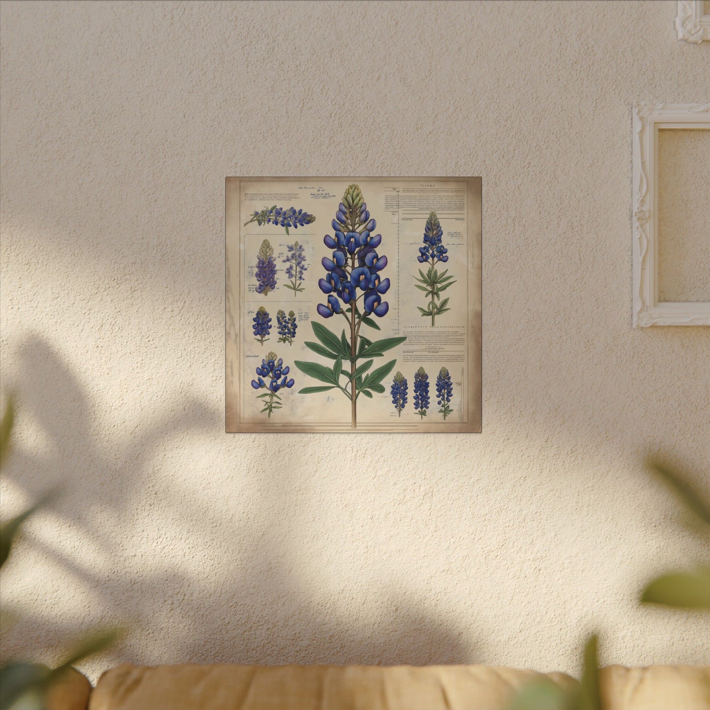 Alternate room view. Celebrate Texas wildflowers with this vintage-style bluebonnet botanical canvas. It's elegant, educational, and ideal for farmhouse or Western-inspired decor.