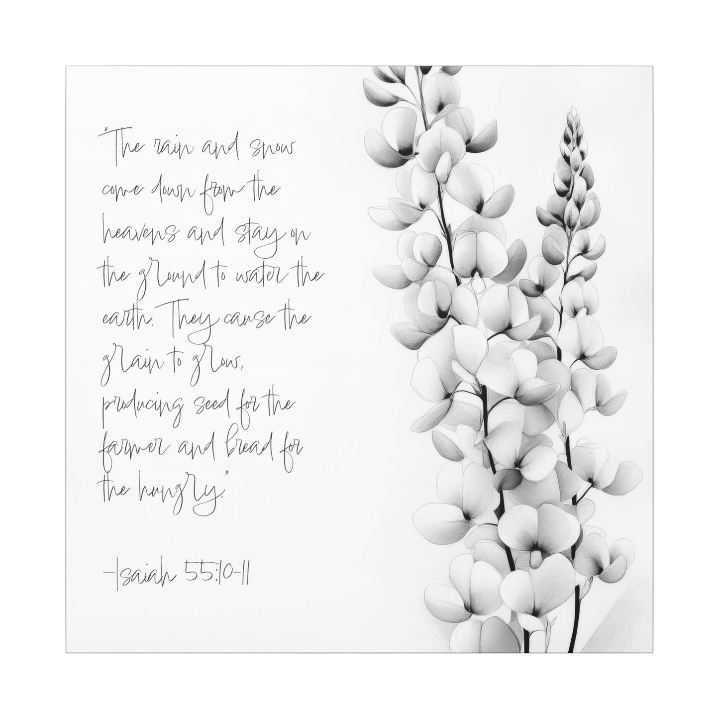 Canvas texture. Canvas print with Isaiah 55:10–11 scripture in handwritten text beside a delicate black-and-white botanical flower sketch.