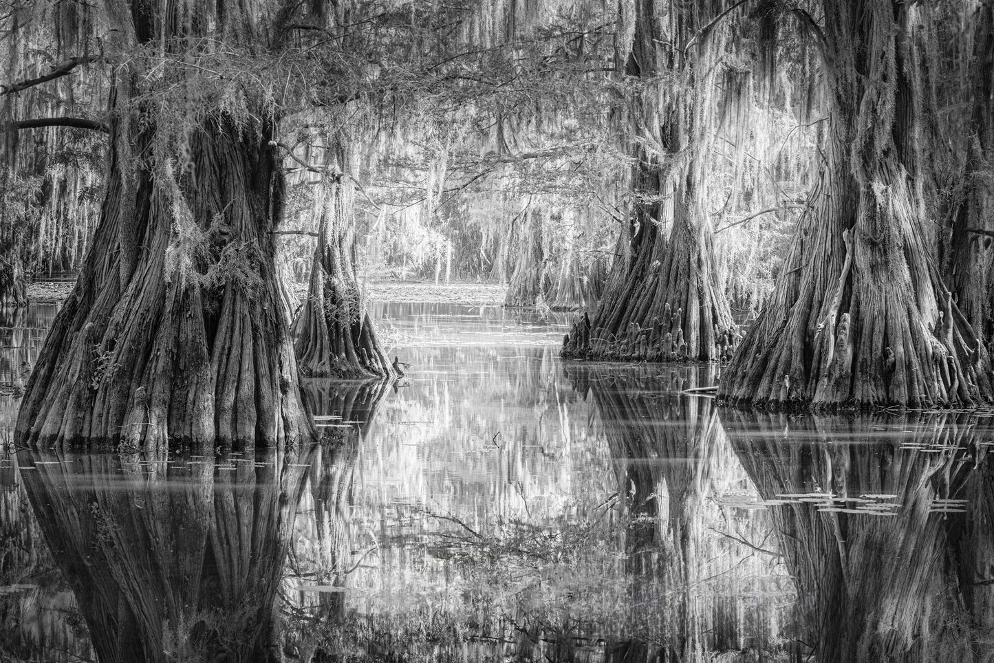 Saw Mill Pond