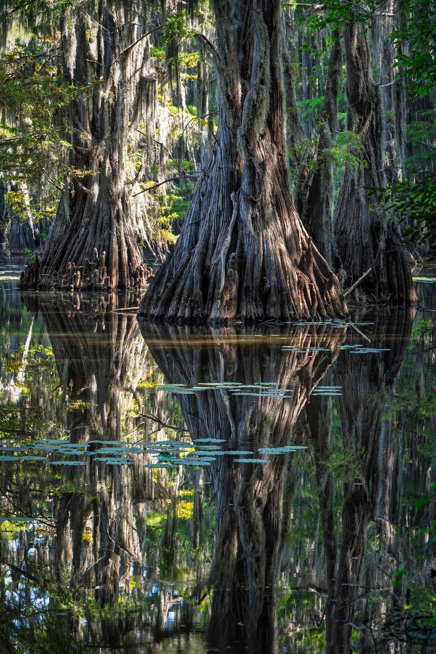 Three Trees