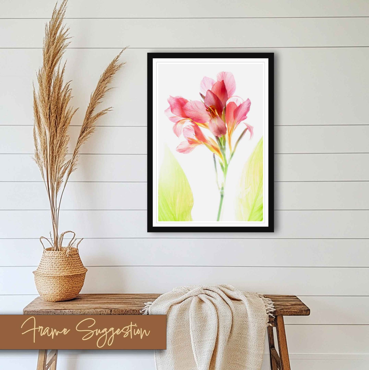 Black frame idea. High-key photograph of a soft pink canna lily blossom with two pale green leaves, presented as a matted art print ready to frame.