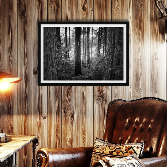 Black frame in room. Black and white photo of tall pine trees in a forest, with sunlight filtering through, framed fine art print, evoking a moody and peaceful atmosphere.