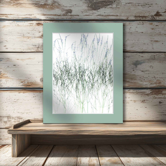 Matted photo, in room. Original high-key photo of wild grasses and soft blue wildflowers on a white background, matted and ready to frame.