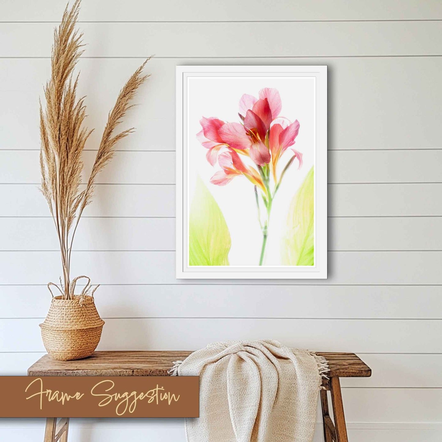 White frame idea. High-key photograph of a soft pink canna lily blossom with two pale green leaves, presented as a matted art print ready to frame.