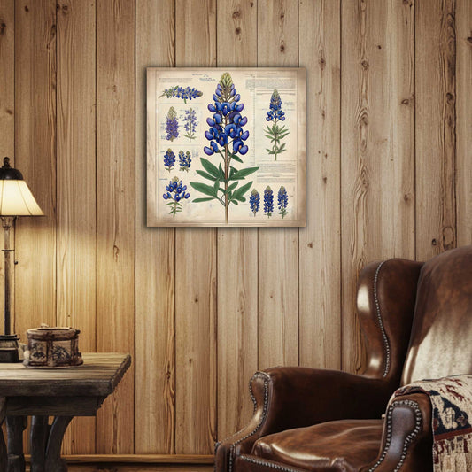 Room view. Celebrate Texas wildflowers with this vintage-style bluebonnet botanical canvas. It's elegant, educational, and ideal for farmhouse or Western-inspired decor.