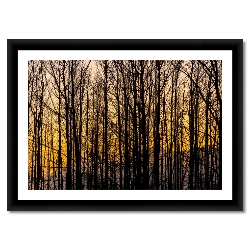 Golden Silence – A Central Texas Sunrise