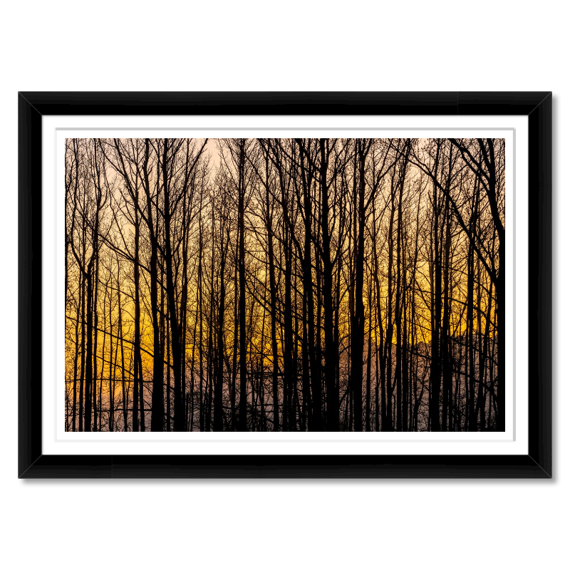 Golden Silence – A Central Texas Sunrise