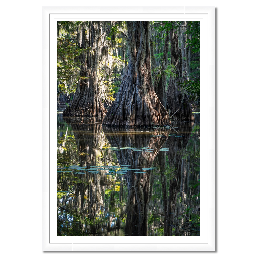 Three Trees