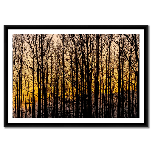 Golden Silence – A Central Texas Sunrise