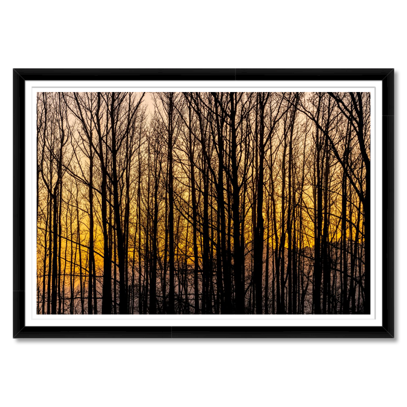 Golden Silence – A Central Texas Sunrise