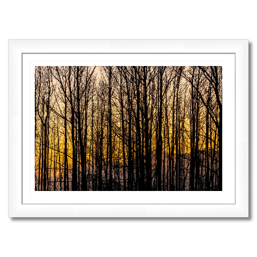 Golden Silence – A Central Texas Sunrise