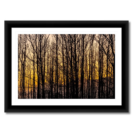 Golden Silence – A Central Texas Sunrise