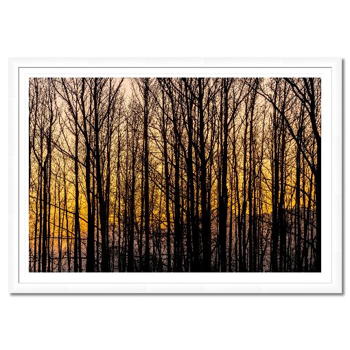 Golden Silence – A Central Texas Sunrise
