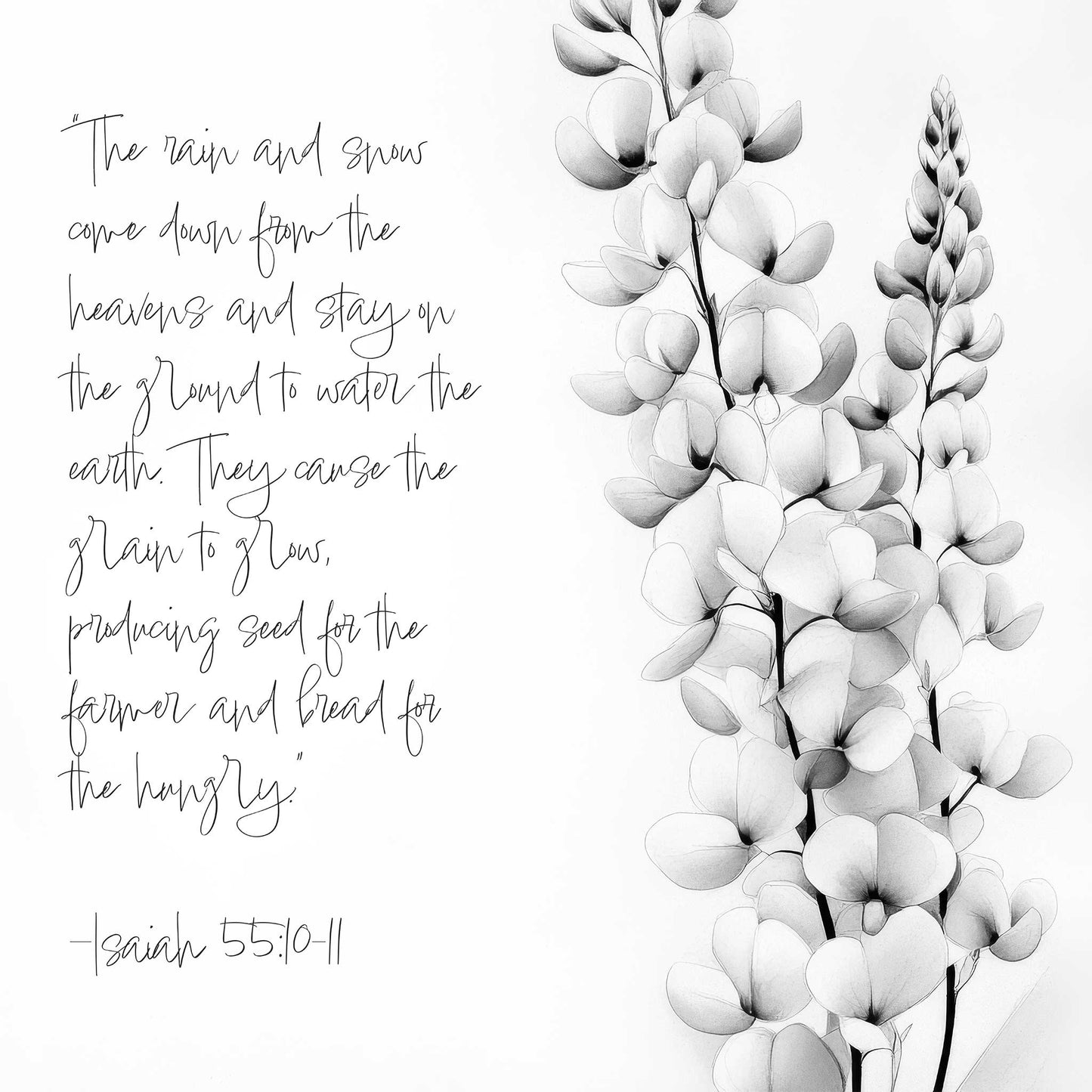 Canvas print with Isaiah 55:10–11 scripture in handwritten text beside a delicate black-and-white botanical flower sketch.