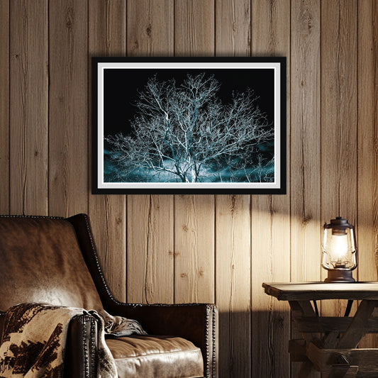 Black frame, in room. A bare sycamore tree glows against a dark blue twilight sky, with delicate branches and soft cloud textures.