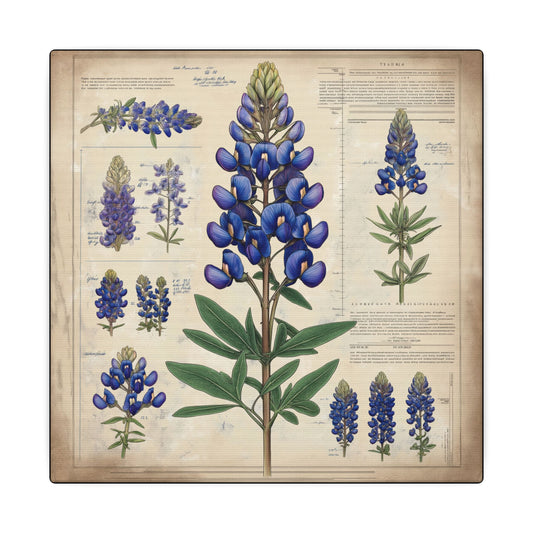 Canvas texture. Celebrate Texas wildflowers with this vintage-style bluebonnet botanical canvas. It's elegant, educational, and ideal for farmhouse or Western-inspired decor.