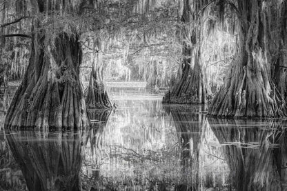 Saw Mill Pond