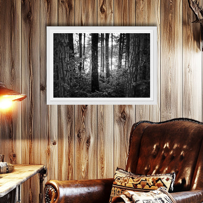 Mystic Woods