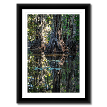 Three Trees