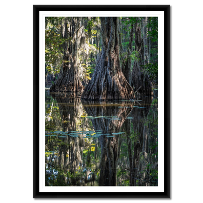 Three Trees