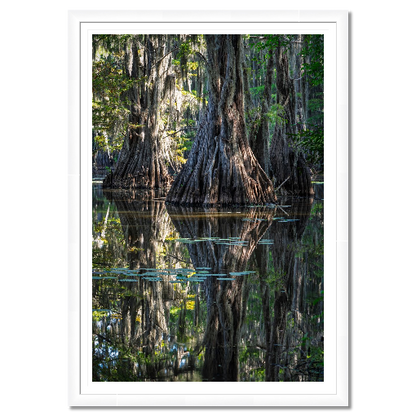 Three Trees