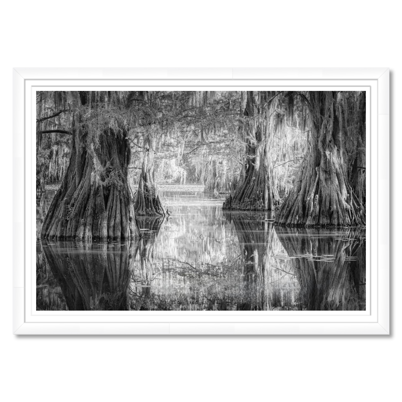 Saw Mill Pond