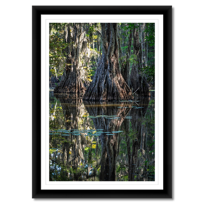 Three Trees