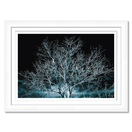 White Tree