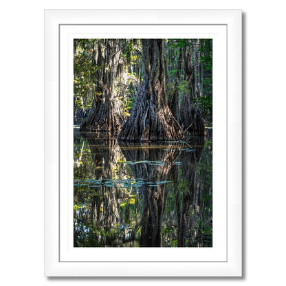 Three Trees