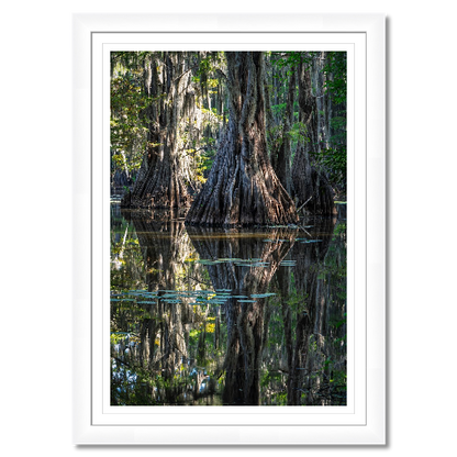 Three Trees