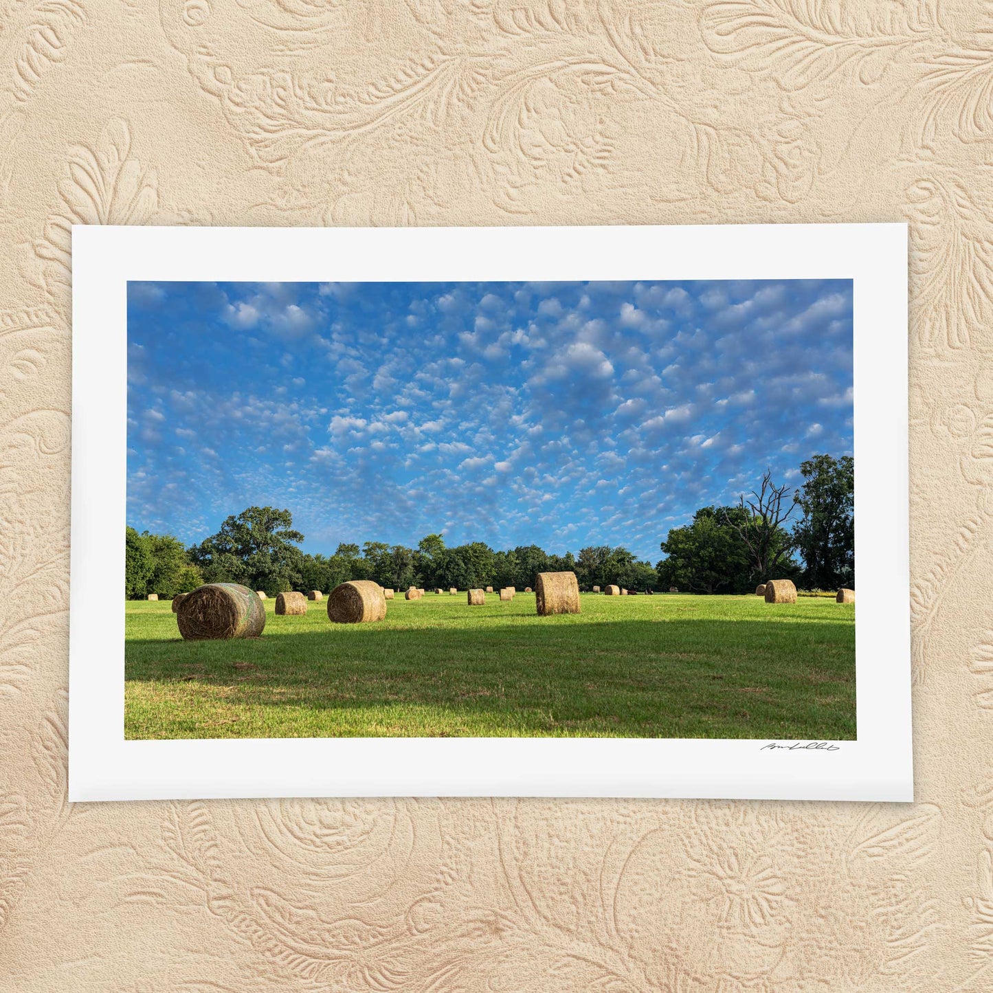 Round Bales — Morning Study