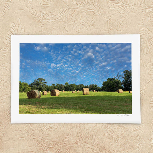Round Bales — Morning Study