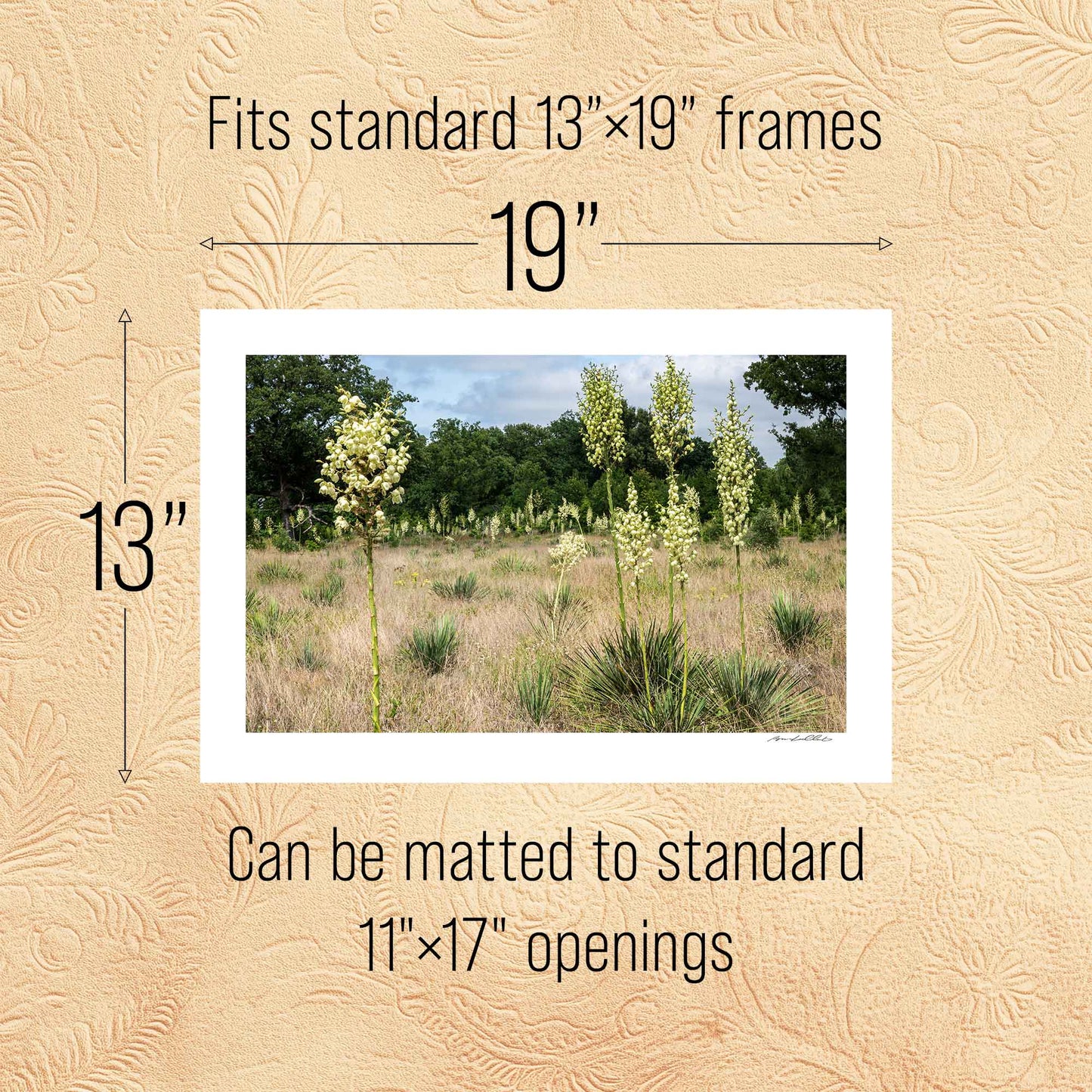 Yucca Field — Standing Forms